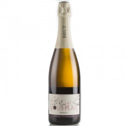 E.Chevalier SVP  METHODE TRAD. Brut mqs