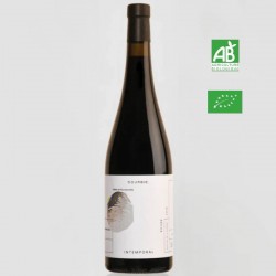 Dom.de la Dourbie INTEMPORAL vin de France rouge 75 cl