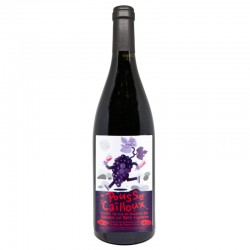 Romain Le Bars POUSSE CAILLOUX vdf rouge 75cl
