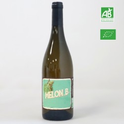 Un Voyage dans les Vignes MELON B. Vin de France  blanc 75 cl