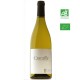 Dom.Clavel CASCAILLE aop Languedoc blanc 75cl