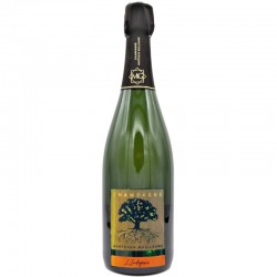 Guillaume MARTEAUX ESSENTIELLE aop Champagne blanc 75cl