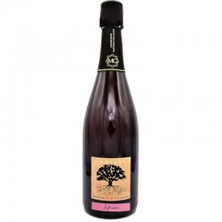 Guillaume MARTEAUX EXCELLENCE aop Champagne rosé 75cl