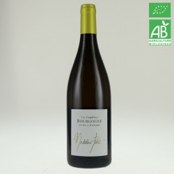 Dom.Madelin PETIT aop Bourgogne Côtes d'Auxerre blanc 75cl