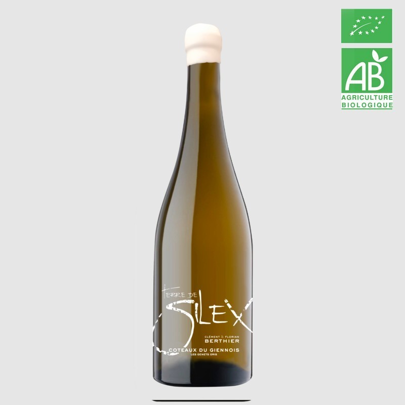 Dom.de Montbenoît TERRE DE SILEX aop Coteaux Giennoix