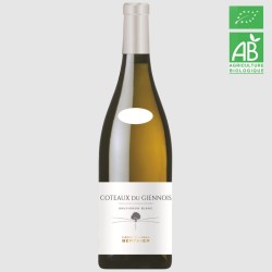 Clément et Florian Berthier aop Coteaux du Giennois 2023 blanc 75cl