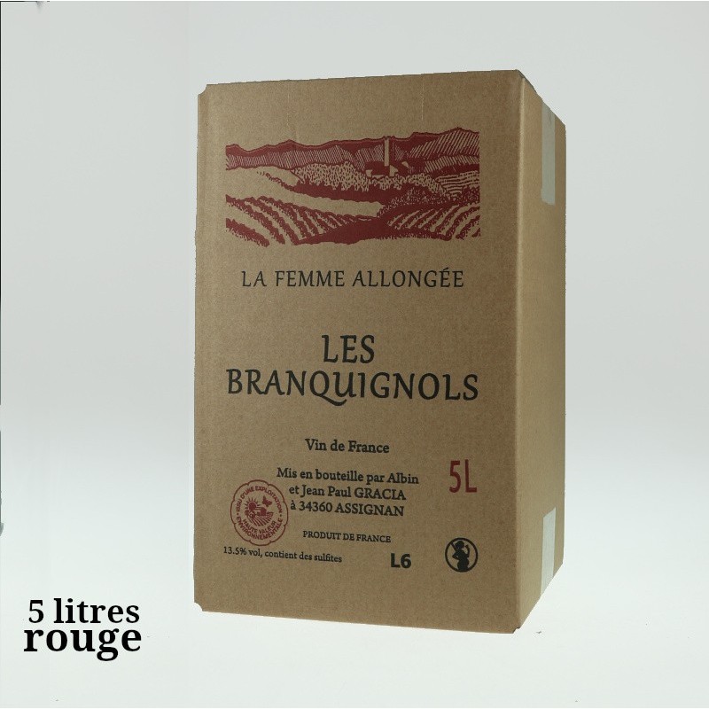 Dom.de la femme Allongée Vin de France BIB rouge 5L