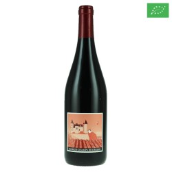Un Voyage dans les Vignes aop SAUMUR 2020 rouge 75cl