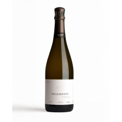 Dosnon FRAGMENTS Champagne blanc 75cl