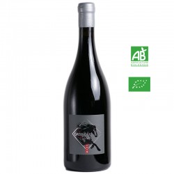 Les Clos Maurice CABRIOLES aop Saumur-Champigny