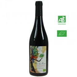 MAS DES BRUNES CUVEE DES ARTS igp Côtes de Thongue rouge 75cl