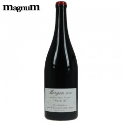 Dom.Foillard COTE DE PY aop Morgon MG