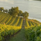 Loire