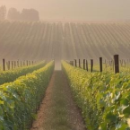 Gironde