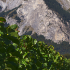 Savoie et Coteaux Alpins