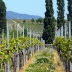 Provence