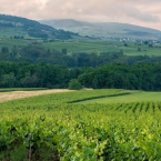 Vallée du Rhône