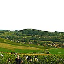 Beaujolais