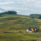 Alsace